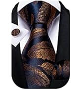 DiBanGu Paisley Mens Tie Set Silk Woven Jacquard Necktie and Pocket Square Cufflinks Gift Set For...