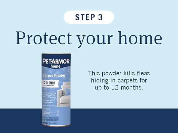 step 3: protect your home