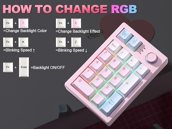 Text reads 'HOW TO CHANGE RGB' with instruction grid showing RGB color modes, backlight effects, and blinking speed settings. Pink compact mechanical keyboard displayed at angle.