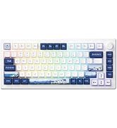Akko Gaming Keyboard Rapid Trigger with Magnetic Switches, 75% 8k Polling Rate Mechanical Hall Ef...