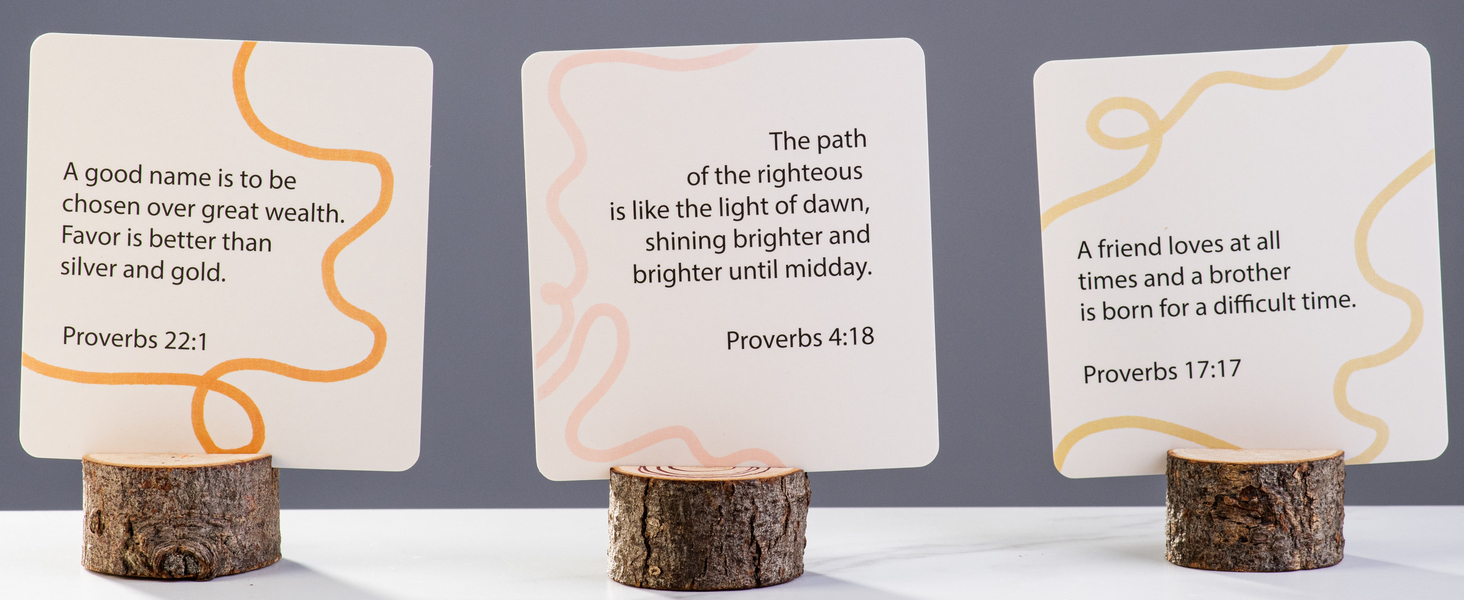 DiverseBee Prayer Cards - Proverbs