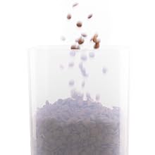 Cat Feeder and Water Dispenser