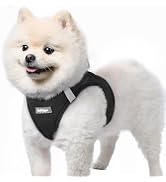 rabbitgoo Small Dog Harness, Step-in Soft Mesh Puppy Vest with Safety Buckle, Breathable Reflecti...