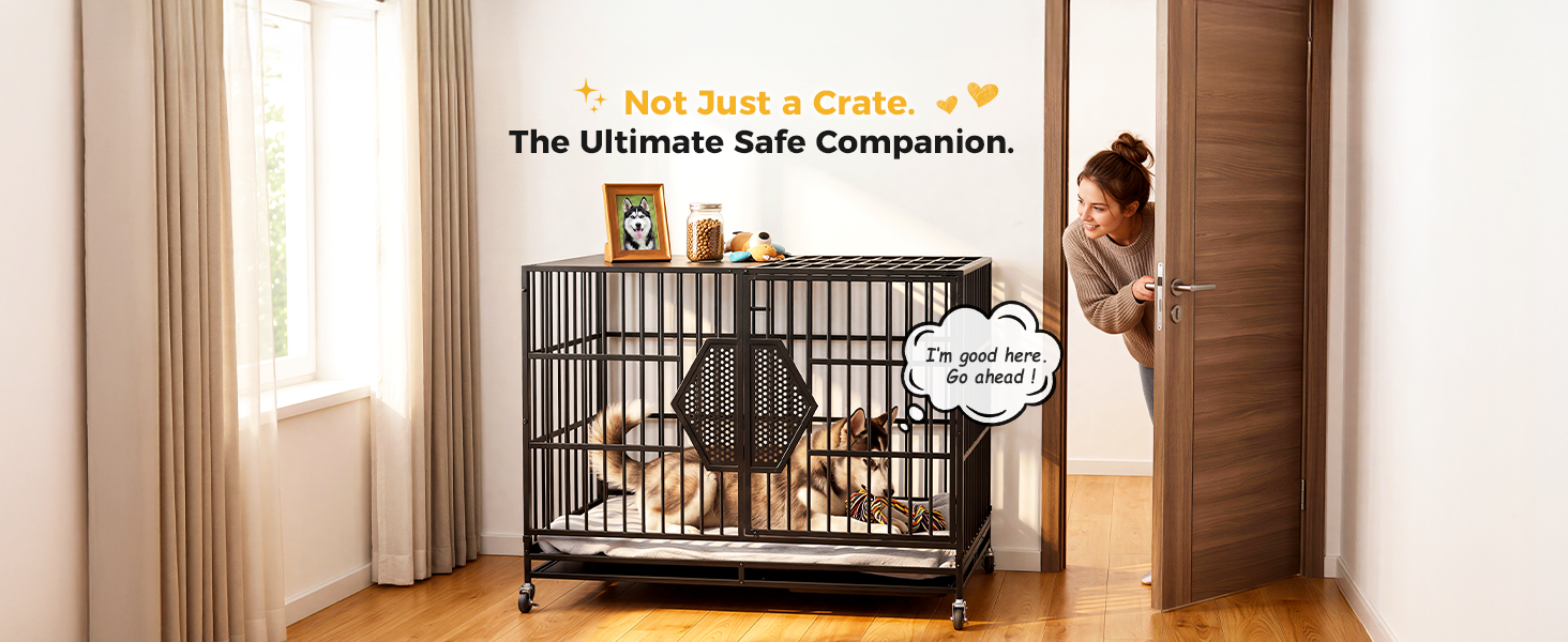 xl dog crate