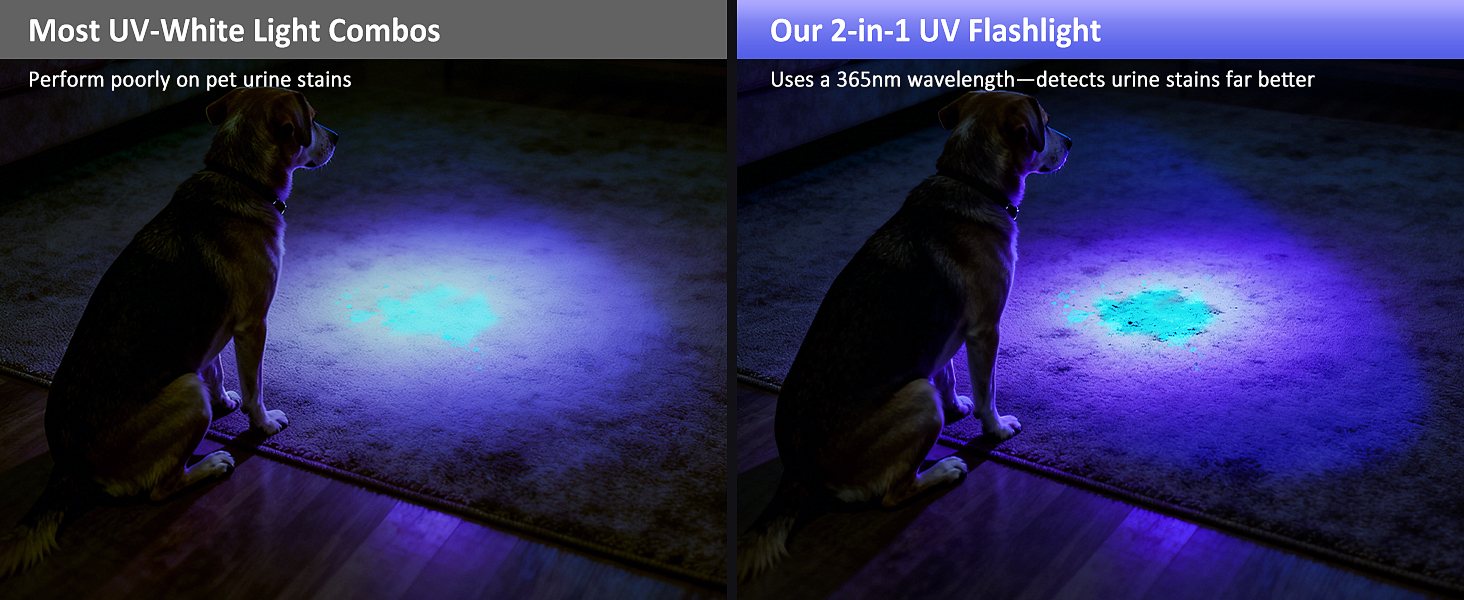 uv flashlight