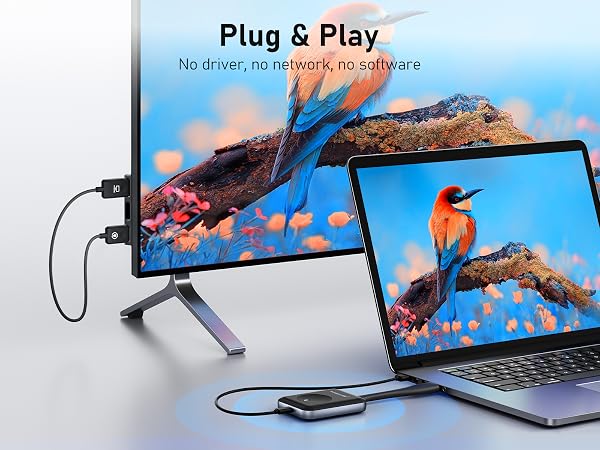 Plug and Play