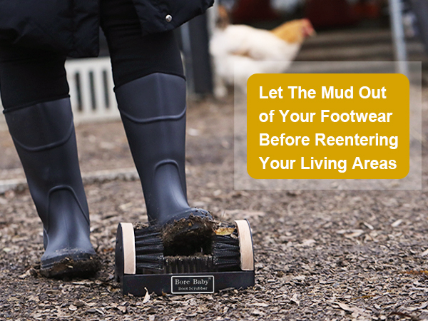 boot brush