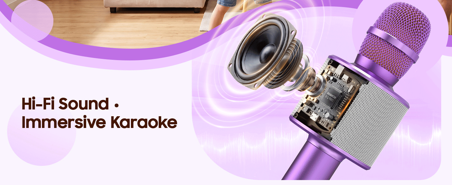 karaoke microphone