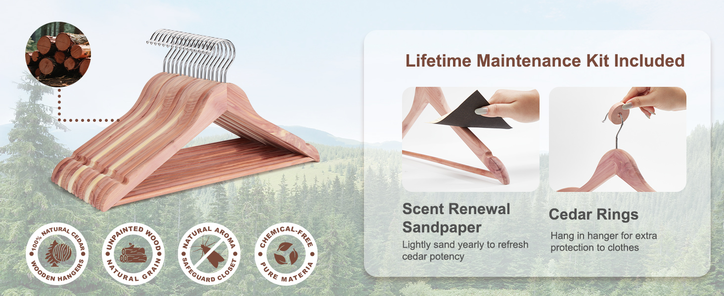 cedar hangers for moths