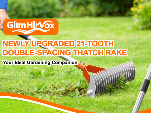 thatching rake
