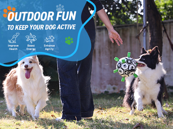 Outdoor toys for dogs