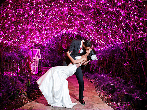 pink lights