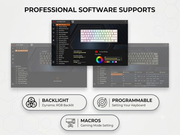 61 software