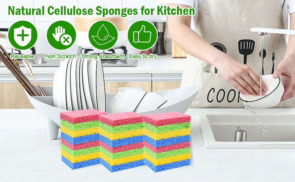 Compressed Sponges