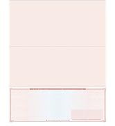 High Security Check Paper - 50 Count, Blank Checks for Business With Artificial Watermarks, Compa...