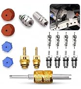 Pniwuno 17 PCS Air Conditioning Valve Core Kit, R12 R134A A/C Ducts Pressure Caps and Service Val...