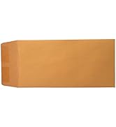 Donkey Auto Products Blank License Plate Envelopes (Moist and Seal)