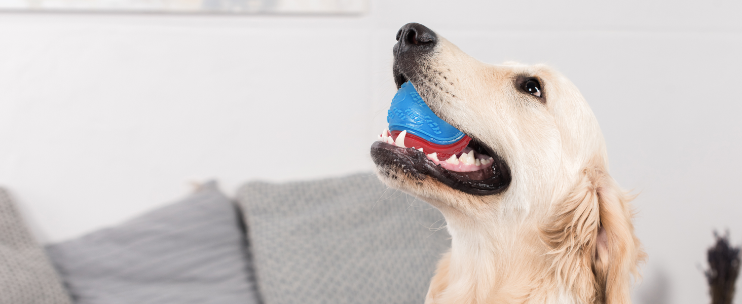 dog toys for large dogs