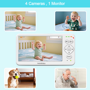 Multi-camera expansion (Maximum 4)