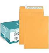 Eupako Catalog Mailing Envelopes 9x12 Brown Envelopes Self Seal 250 Pack for Organizing and Storage