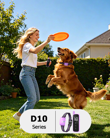 Heaflex Shock Collar for Dogs
