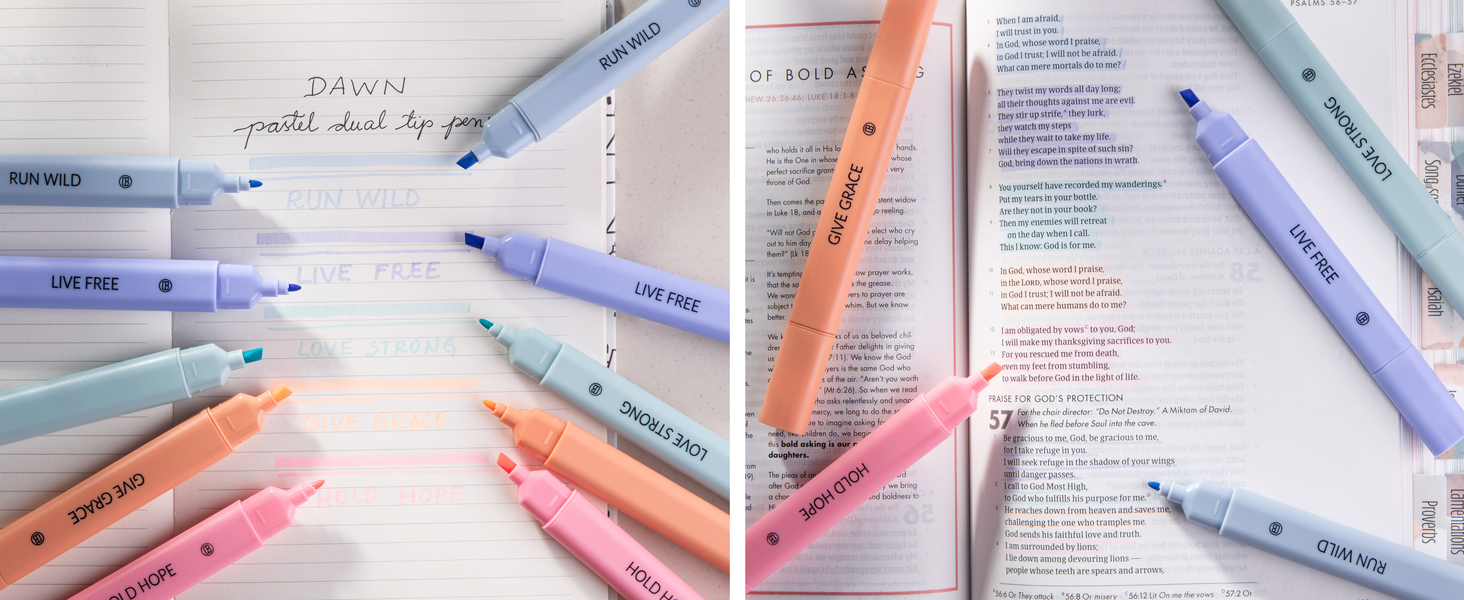 DiverseBee Dual Tip No Bleed Highlighters
