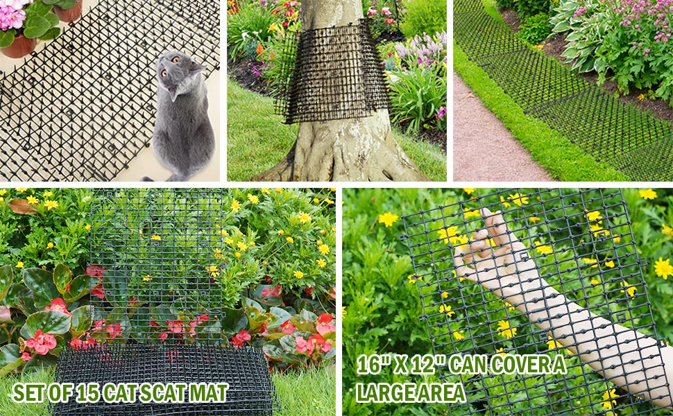 cat scat mat