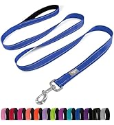 PenSeepet Dog Leash 6 FT Padded Handle Nylon Reflective Dogs Leashes for Medium Dogs Blue