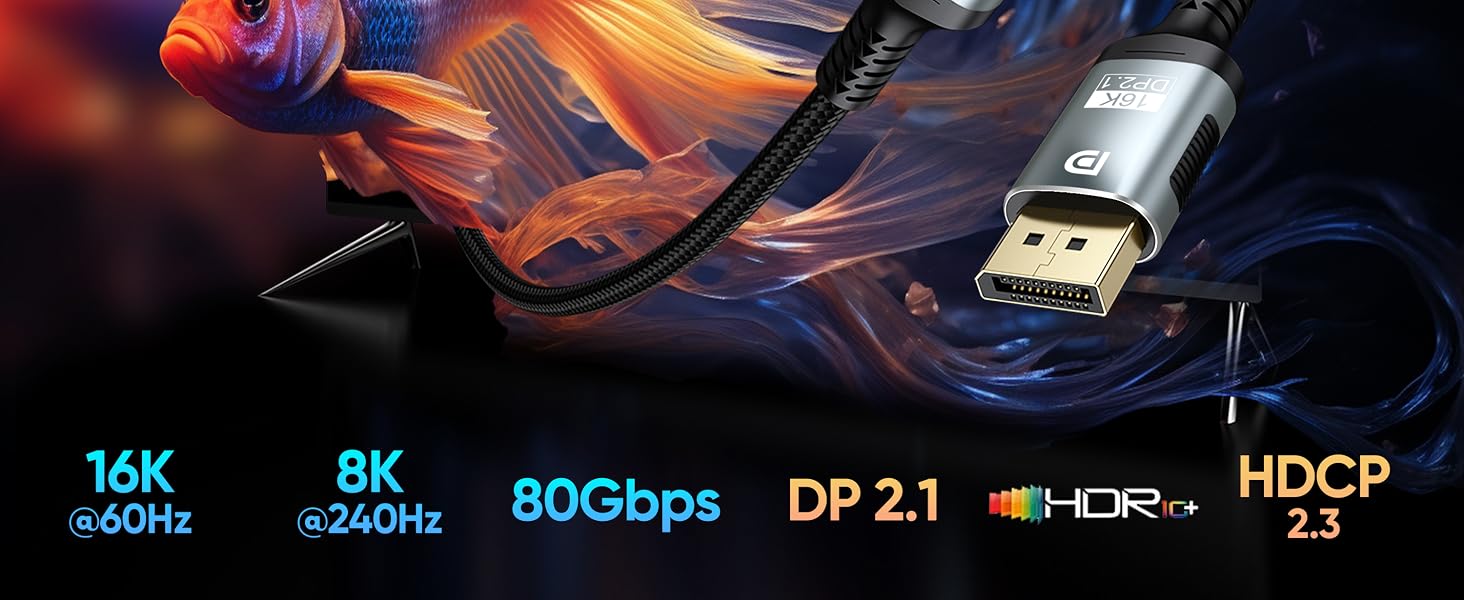 display port 2.1