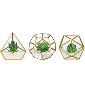Mkono Artificial Succulent in 3 Pack Mini Glass Geometric Terrarium, Miniature Potted Faux Plant ...