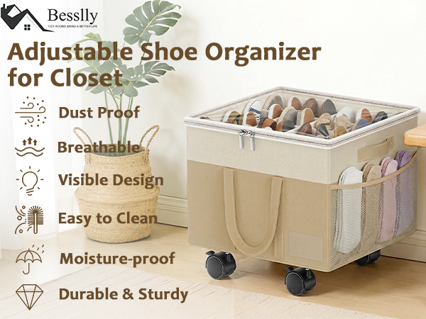shoe organizer for closet