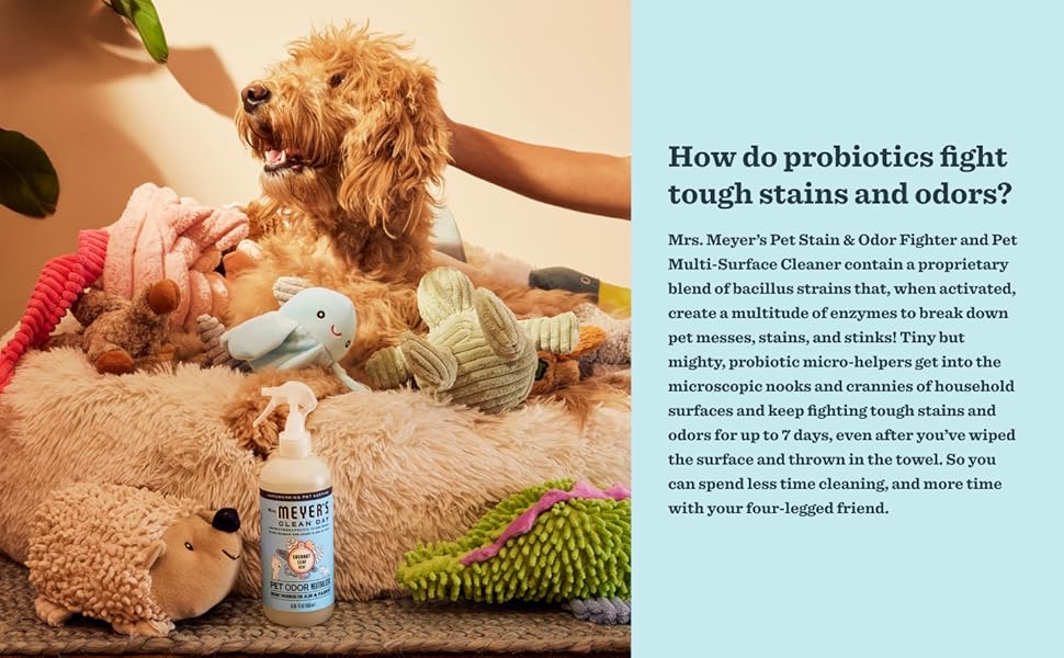 pet cleaning, pet stain remover, pet odor removal