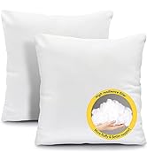 Fixwal 16x16 Throw Pillow Inserts Set of 2, Hypoallergenic Square Pillow Forms, Soft Microfiber F...