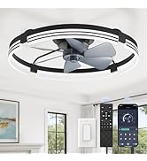 ZMISHIBO 24 Inch Low Profile Ceiling Fans with Lights and Remote, 3000K-6000K Dimmable Fandelier ...
