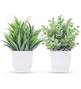 Der Rose 2 Pack Fake Plants Small Plants for Bathroom Office Decor | Mini cute faux plants, table...