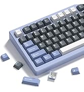 Womier Keycaps, Custom PBT Doubleshot Keycaps 60 65 75 100 Percent, Cherry Profile Retro Keycaps,...