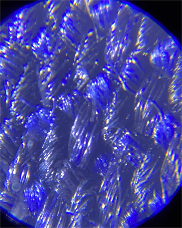 UV loupe light