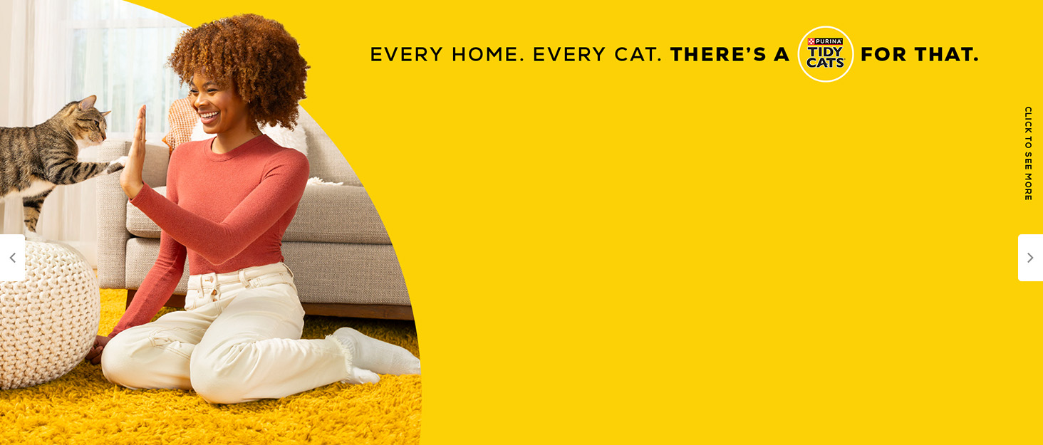 Tidy Cats owner and cat background