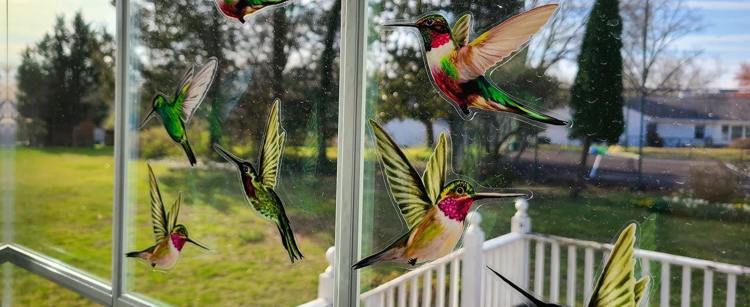 Realistic multi-colored hummingbird window clings on a glass door to prevent bird strikes