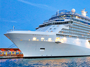 Cruise Accessories