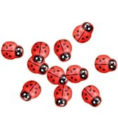 Zhuluck 20 Pcs Mini Ladybug DIY Micro Landscape Fairy Garden Decorations and Ornaments for Scrapb...