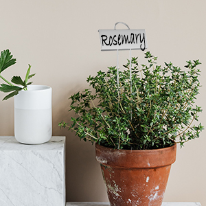 outdoor garden labels