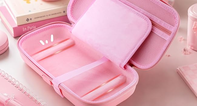 carrying case