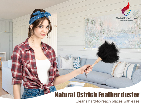 ostrich feather duster