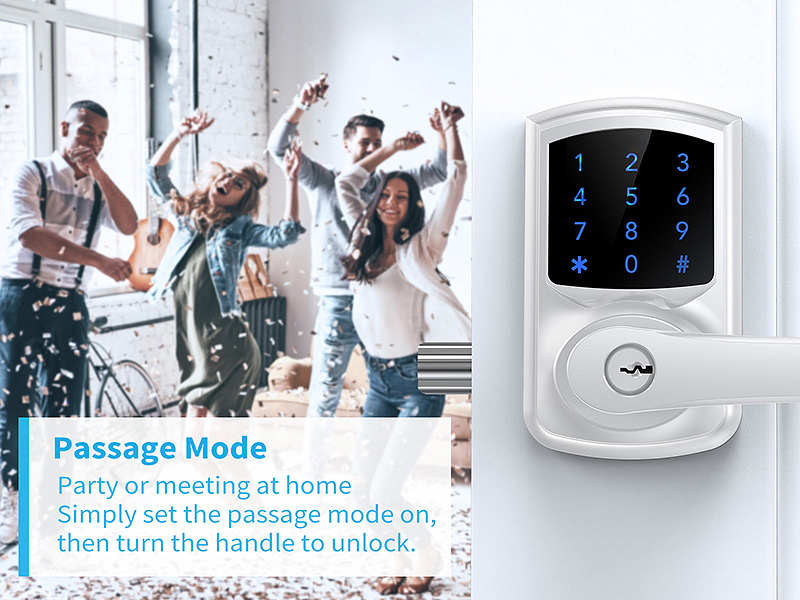 Touchscreen Keypad Door Lock with Handle