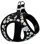 black flower dog harness