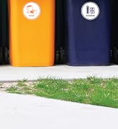 SSIGNS Brand Story At Home 4