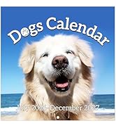 Wall Calendar 2026-2027 - 18-Month Calendar 2026-2027 from Jul. 2026 - Dec. 2027, 12" x 24" (Open...