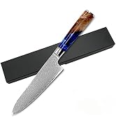 Damascus VG-10 Core Japanese Steel Kitchen Chef Knife Ultra Sharp Gyuto Knives with sheath, Blue ...