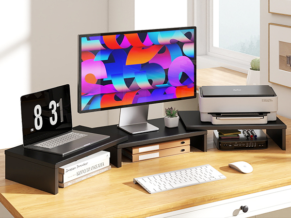 computer riser